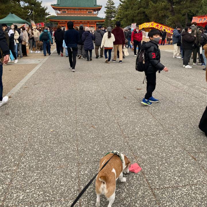 850c77fa 9a55 4d0e aa6e aa9a0cd499d4 1641280836323