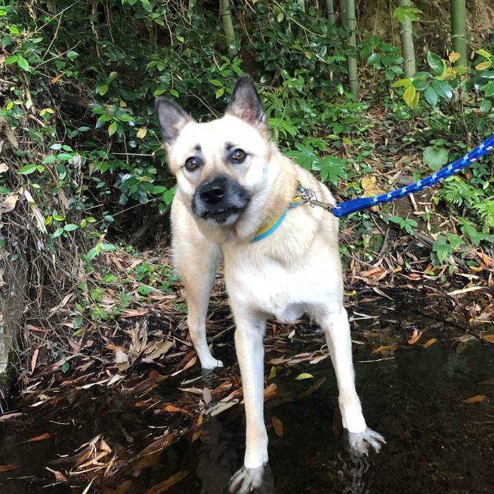 850d18f9 a77d 45a1 a776 a42dae9cce6c 1528881350021