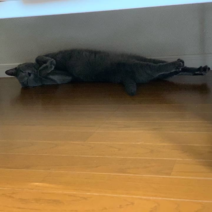 850d278b 11b2 43b2 a583 0c525cf2e11e 1660542280370