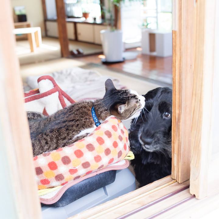 850d2bf9 1164 4338 a74a 61ee624ecd36 1554780736377