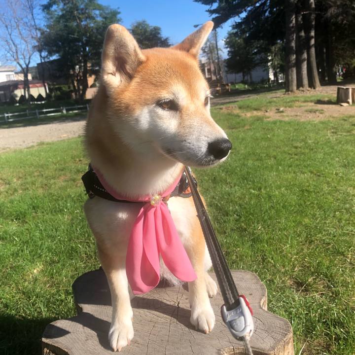 850dcfbc df5c 4886 8bfd b61999110923 1542686841497