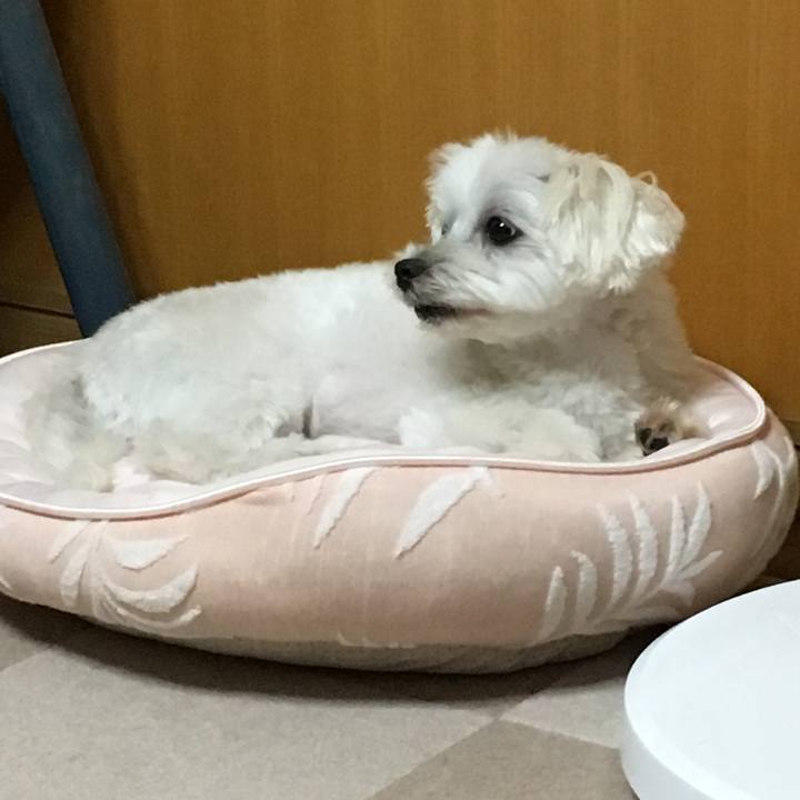 850dd7af 0997 4019 8474 bea96d87d29d 1565007213128