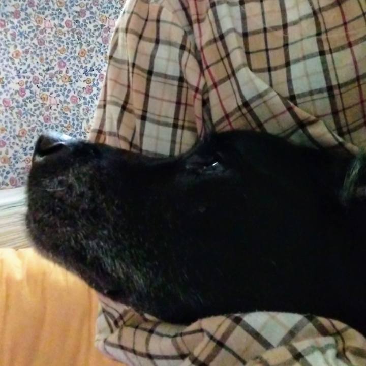 850e6e11 f5f9 4e01 80bd 7a7f3b8c8c8b 1716273946436