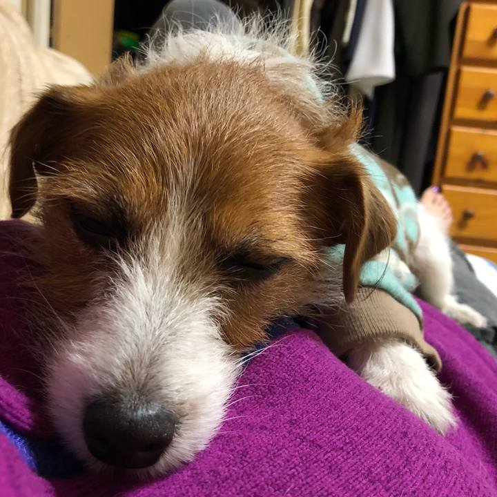 850e75c3 f9af 4da0 8bab 5bade74fd752 1546166382858