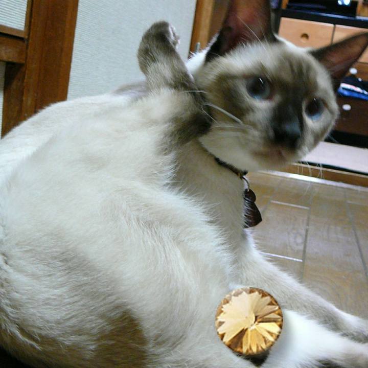 850eb177 be83 4621 aeea 1d2551da1e75 1536015848449