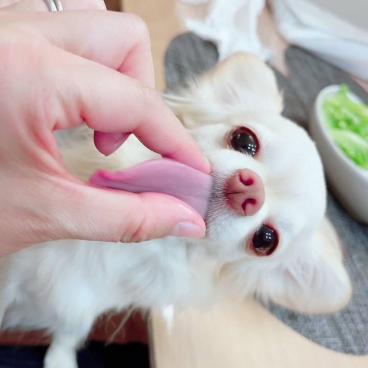 850ef329 cbdc 469c b8d2 d5e62f5ebbe6 1711547651857