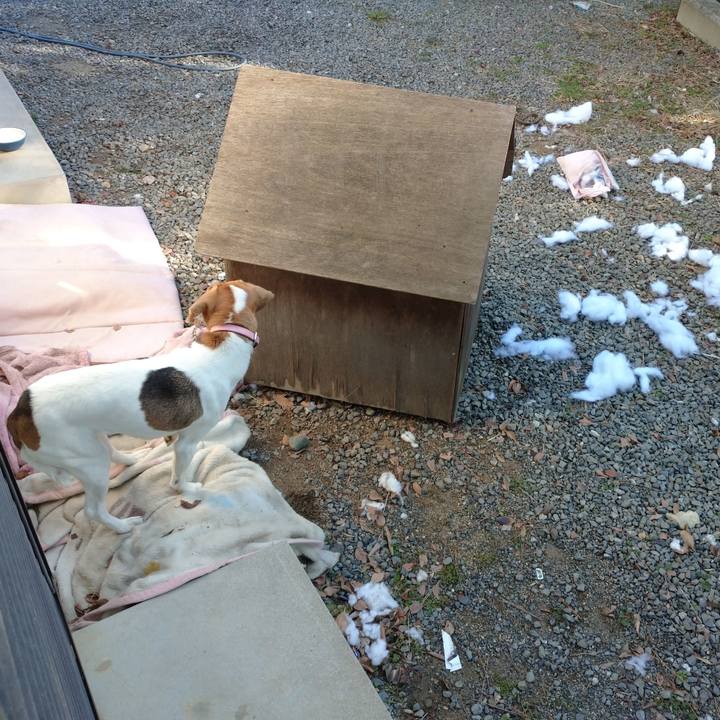 850f0ef6 f480 4517 91e8 9e091dfd6e9c 1580364682531