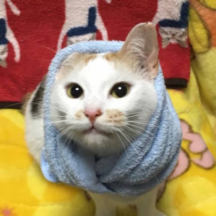 850f2c1b 4f5c 4729 86a9 21cf8c4df2df 1651758127238