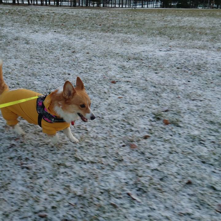 850f3c16 acf6 496d baa0 123603d6b89f 1764719273821