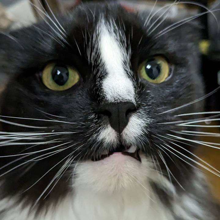 850f5941 23f1 4064 9e0c 53c822097d84 1680175738299