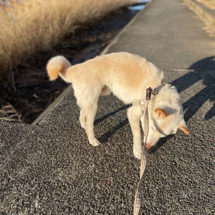 850f72c3 6a07 4845 9ee0 0659f52d95ed 1646265280210