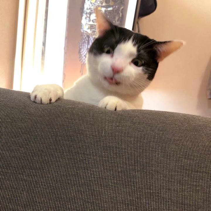 850f80f2 df03 439f b66c 49998c1096f3 1549626500608