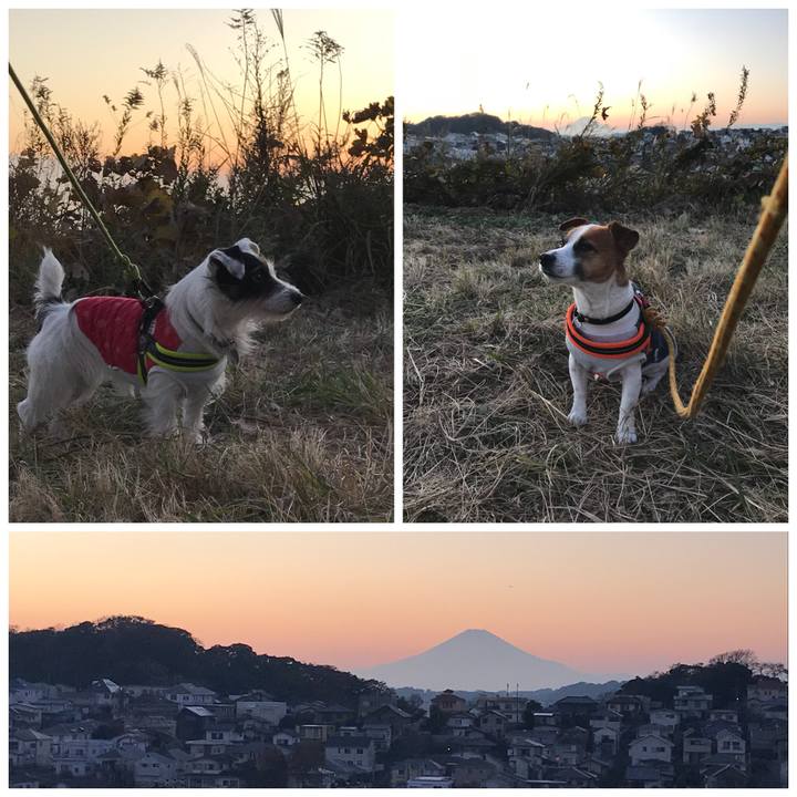 850f84d6 5573 4bdd 9828 fdd27b3bce86 1512289288160