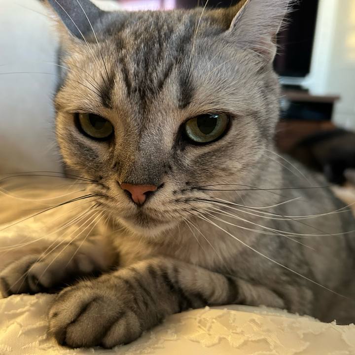 850f9424 b55c 45ab a157 5e038f597fe4 1692872373870