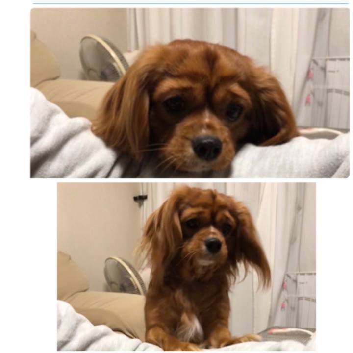 850f9d99 0874 4252 a427 22396bdb464d 1547677049176