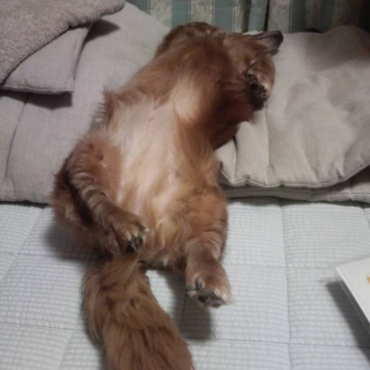 850fad57 33a9 431e bd14 1f8562db9cfe 1617124218519