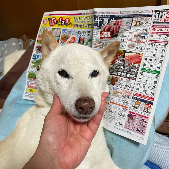 850fba58 014c 4af2 87d8 b8195a8cbd29 1656856566603