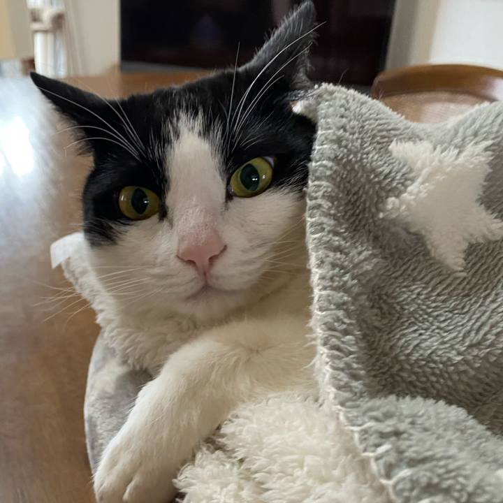 850fbe2a e5df 4218 8eda 0145fc6f2d0f 1614392008337