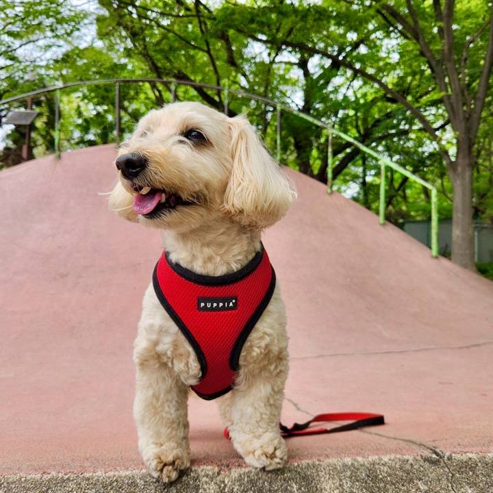 850fbee9 a27d 4003 b79c 27fa189adce0 1776831553342