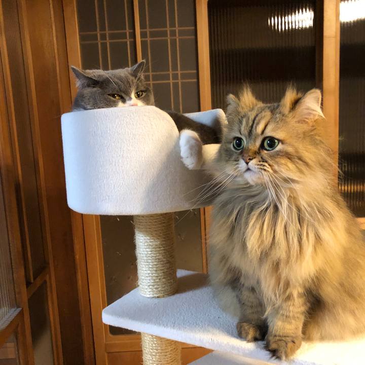 850fe019 9579 4ef4 9434 bdeabb01b650 1552974623649