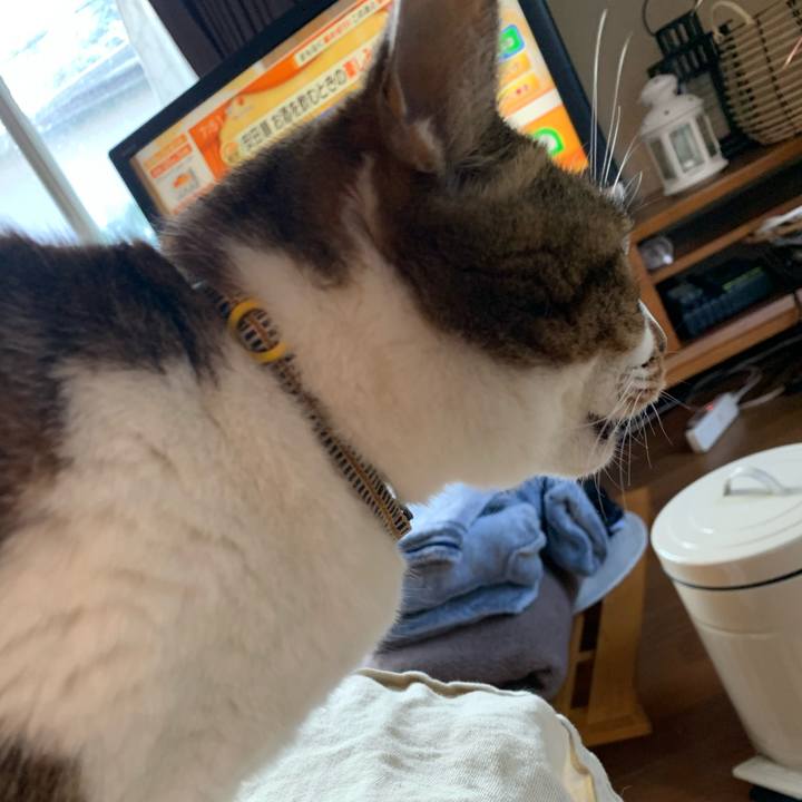 850fe80f b934 4660 a2a2 875b59a793d0 1677545559652