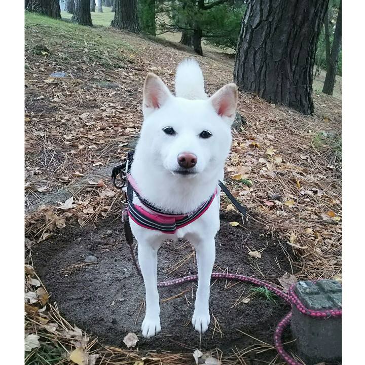 8510afa5 79e8 4cb1 baa4 e9be6c760e72 1542681461766