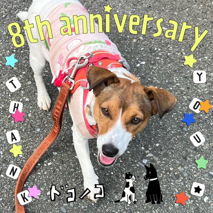 8510b510 0b8e 488d 8f9f d30b58e2374f 1717718778740