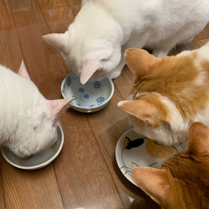 8510bd46 4df7 42fb 99b6 c4c53972f499 1661601094799