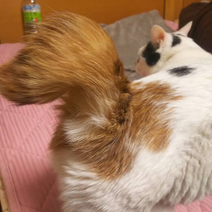 8510de62 82d6 481a 808b aa7a92ba131e 1578147497926