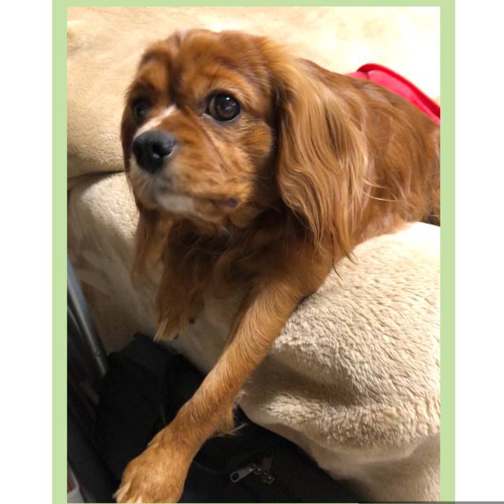 851128fe 1375 4bbe a68a c67714b8566e 1581458853195