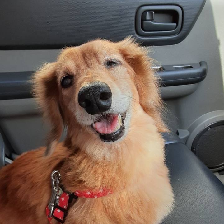 85114a10 64cd 4bb9 84cc f4d25f572f9d 1659618462495