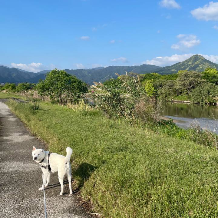 8511716d 8765 4c33 8f83 4708d7feb22f 1746138449780