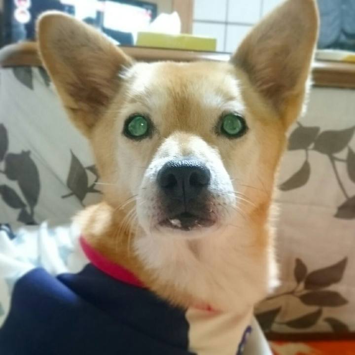 8511837e 9f86 4102 a0ff 0b5cbf81abed 1515587884145