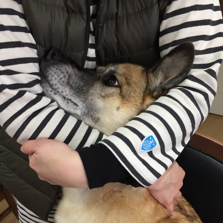 8511a0d2 ec9e 4754 a6f5 5d531efb4f55 1514865175282