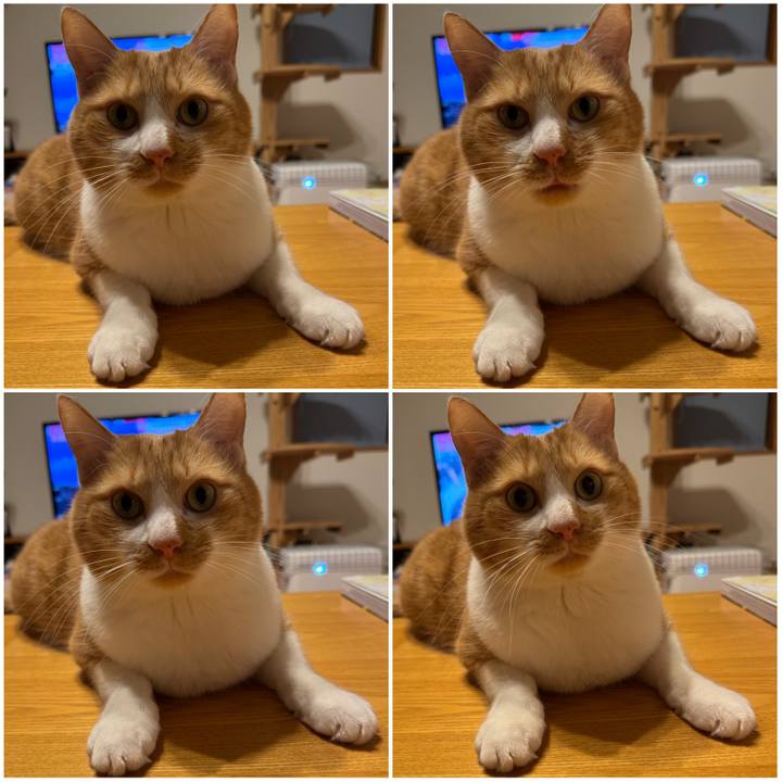 8511cebd 3148 4e4f a6f1 af057480655b 1765613852561