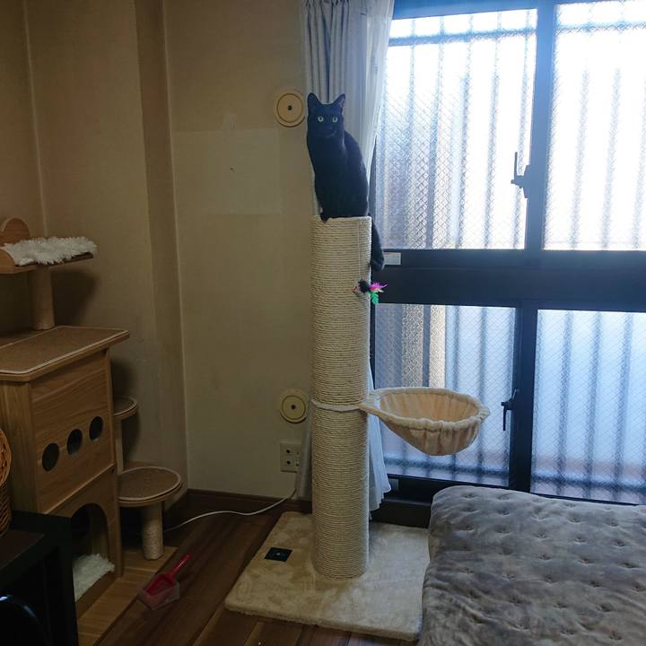 8511d70c 6528 4608 8295 db0c1a705a0f 1698454220137