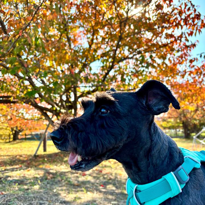 8511fa7e b005 40fb 83e3 4cc51fd8e721 1763186235124