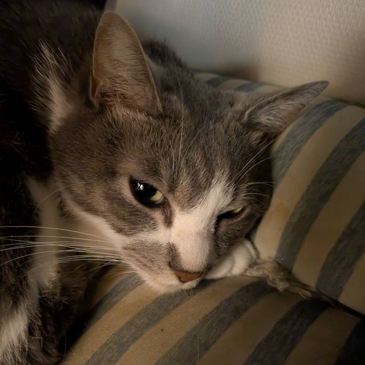 8511fb59 e742 4dd6 9117 ed5b5c1fb672 1760406992149