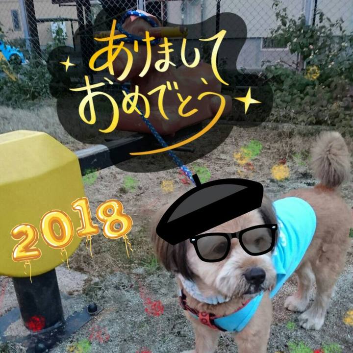 85122bdd 45bc 4d35 975c a2420ec09e07 1514796975719