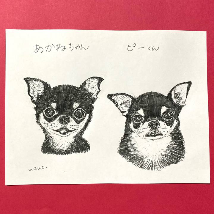 85123d84 0015 4e40 80d6 011c41a102ec 1636247227884