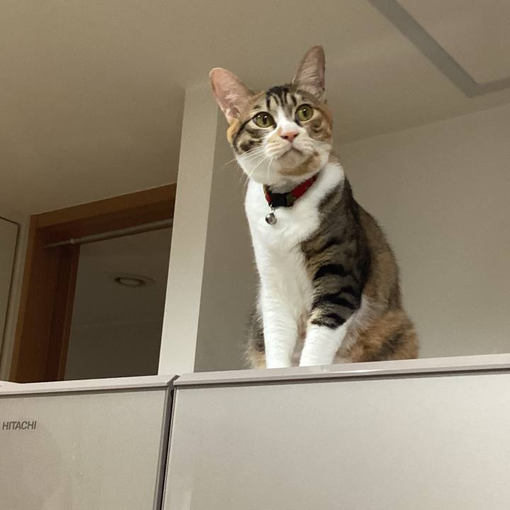 8512a209 39d4 4276 938a 6cc29703f26f 1664420670181