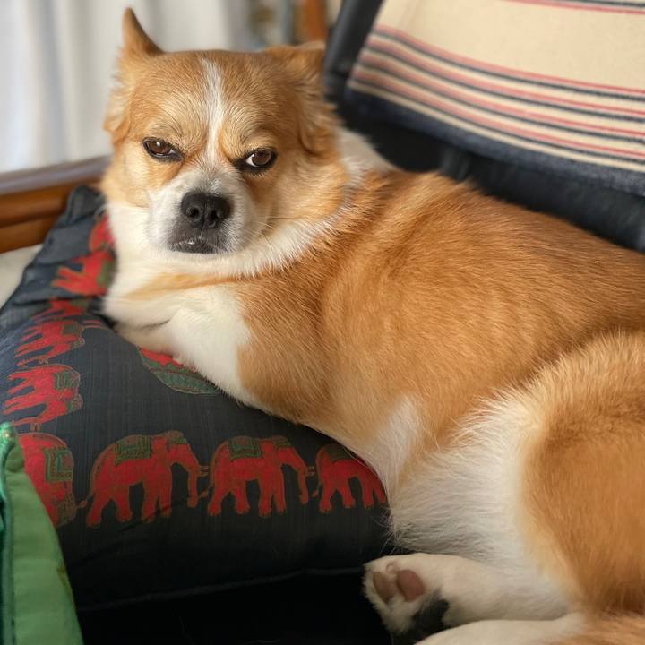 8512b31e 52dd 4438 a8ea cb67cf51bc50 1662944587181