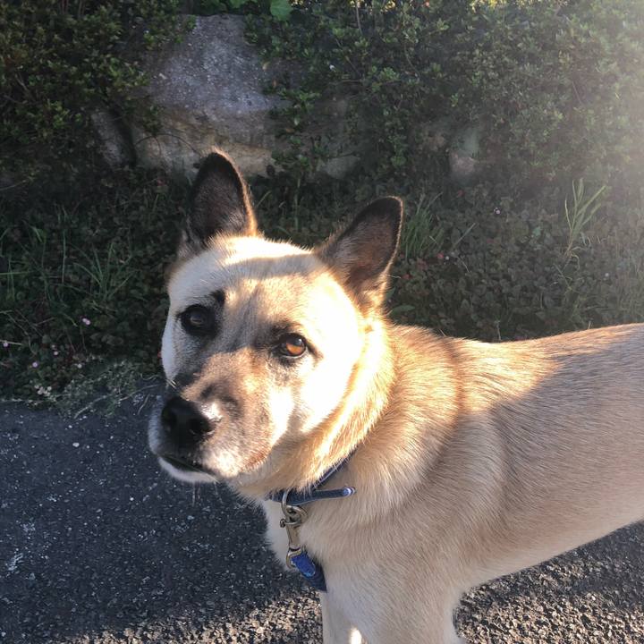 8512c4cf 6d43 43ad b942 3f22d4425968 1538137701408