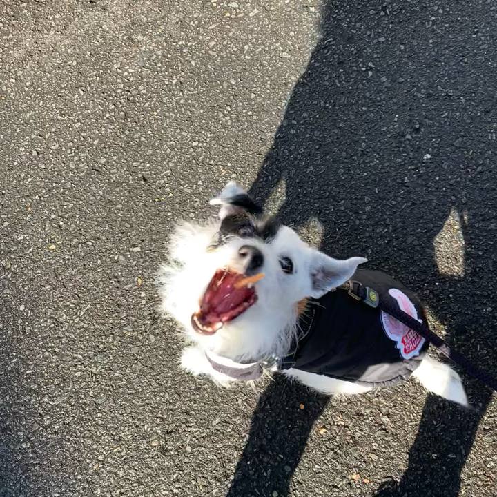 8512cca9 e046 4ec5 9194 c17cd4560da0 1737335580367