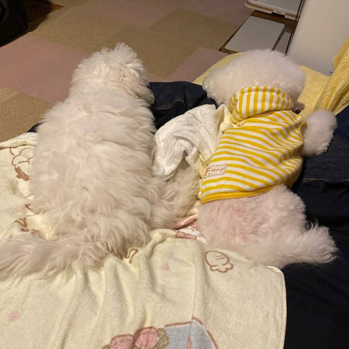 8512d9da 349c 4da8 adce 312ae8f16364 1746099136028