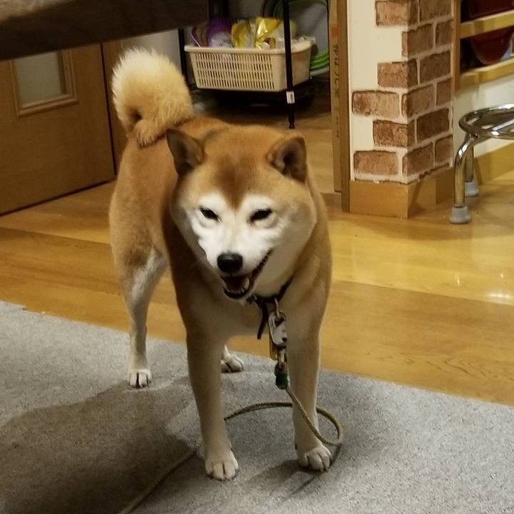 8512f745 d40b 41a7 864a 43a7116ac299 1602148293699