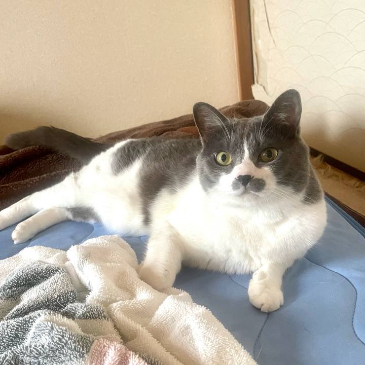 8512f8ee b240 464d 8dca 277d61c6585b 1687037030686