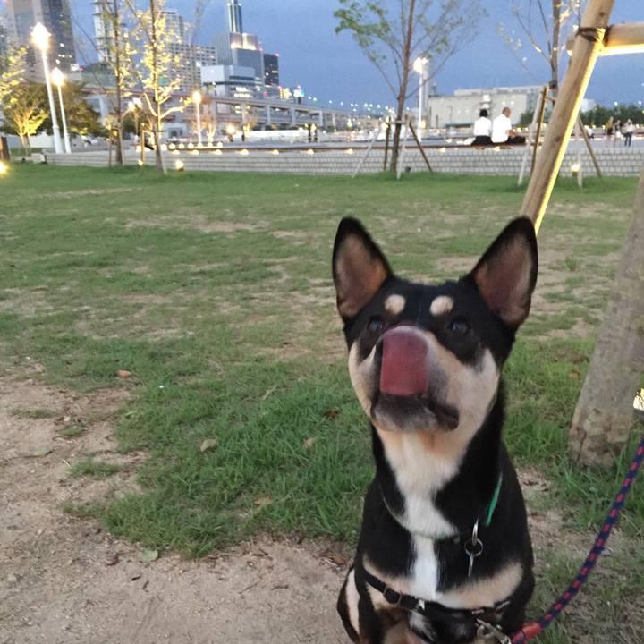 8512f926 907e 4110 a5bb c8e54cc1ca2f 1537273313969