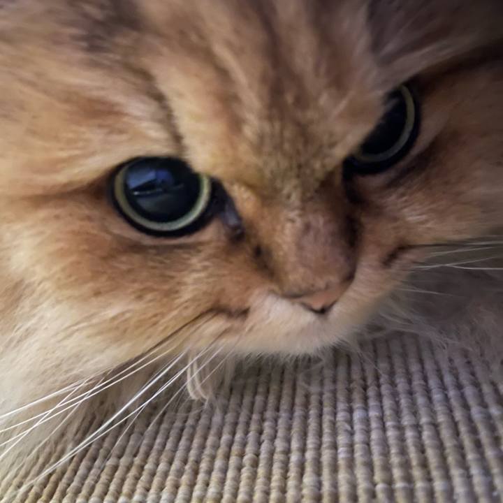 8512fb57 3401 47cc 8e48 bd1b55e1df0b 1649461447523