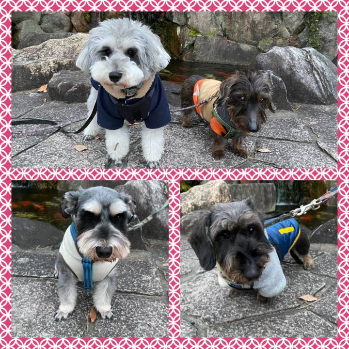 85131a36 a2ec 4f8a a011 13ee4aca480a 1641317357139